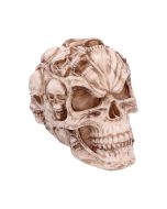 Rose Flame Decorative Skull With Sleeping Dragon