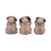 Three Wise Pugs Dog Ornaments