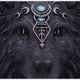 Dark Gothic Magical Wolf Moon Wall Hanging Plaque