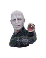 Serpentine Fate Gothic Snake Skull 19cm