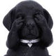Three Wise Labradors 8.5cm