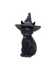 Owlocen 30cm (Large)