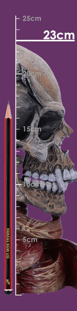 Metallica Pushead Skull 23.5cm