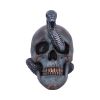 Serpentine Fate Gothic Snake Skull 19cm