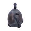Serpentine Fate Gothic Snake Skull 19cm