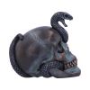 Serpentine Fate Gothic Snake Skull 19cm