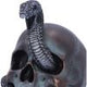 Serpentine Fate Gothic Snake Skull 19cm