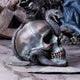 Serpentine Fate Gothic Snake Skull 19cm