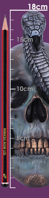 Serpentine Fate Gothic Snake Skull 19cm