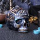Destiny Palmistry Skull 18cm