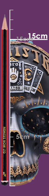 Destiny Palmistry Skull 18cm