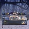 Lisa Parker Frangipani Scented Love Incense Sticks