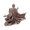 Harry Potter Voldemort Duel 32cm – billede 4