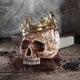Dracula's Tale Vampire Novel Quote Skull
