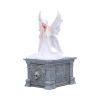 Only Love Remains Box (AS) 20.3cm