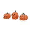 Three Wise Pumpkins 8cm