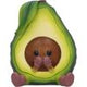 Three Wise Avocados 8.5cm