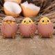 Three Wise Chicks 6.7cm