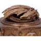House of the Dragon Syrax Box 16cm
