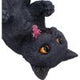 Black Cat Guzzler 24cm