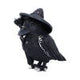 Pawzuph 26.5cm (Large)