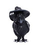 Coven Keepers (Display Stand with 36pcs)