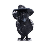 Pawzuph 26.5cm (Large)