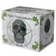 Aged Pentagram Skull 18.8cm