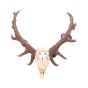 Antlers of Eden Floral Decorated Animal Deer Skull – billede 2