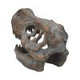 Freestanding Tyrannosaurus Rex Skull Figurine Ornament