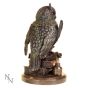 Ulula Bronze Academic Owl Figurine – billede 4