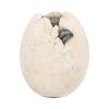 Wyrmlings Dragon Egg First Light 12cm