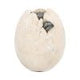Wyrmlings Dragon Egg First Light 12cm