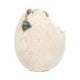Wyrmlings Dragon Egg First Light 12cm