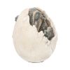 Wyrmlings Dragon Egg First Light 12cm