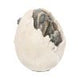Wyrmlings Dragon Egg First Light 12cm