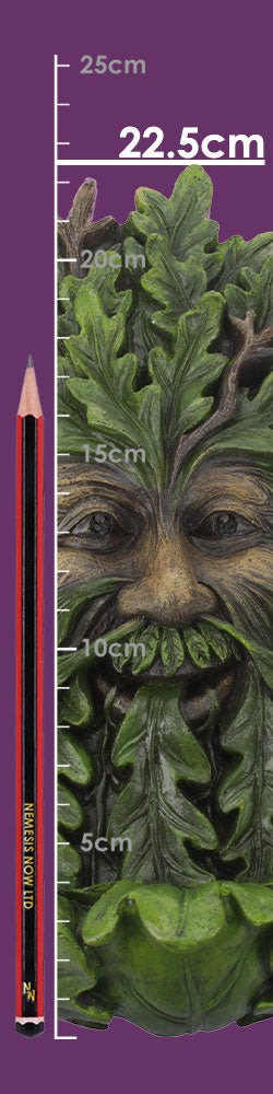 Elderwood Wall Art Tree Man Spirit Wall Hanging Plaque