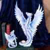 Anne Stokes Age of Dragons Adult Silver Dragon Figurine – billede 6