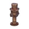 Steampunk Beaky Plague Doctor Bust Figurine