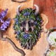 Alder Wall Mounted Tree Spirit 20.2cm