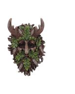 Alder Wall Mounted Tree Spirit 20.2cm