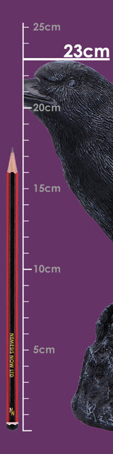 Raven Messenger Figurine 25cm