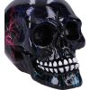 Electro (Small) (Pack of 6 )