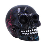 Electro (Small) (Pack of 6 )
