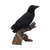 Ravens Perch Resin Figurine