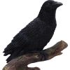 Ravens Perch Resin Figurine