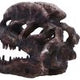 Dilophosaurus Skull Resin Replica