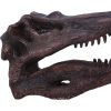 Spinosaurus Skull Resin Replica