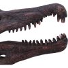 Spinosaurus Skull Resin Replica