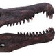 Spinosaurus Skull Resin Replica